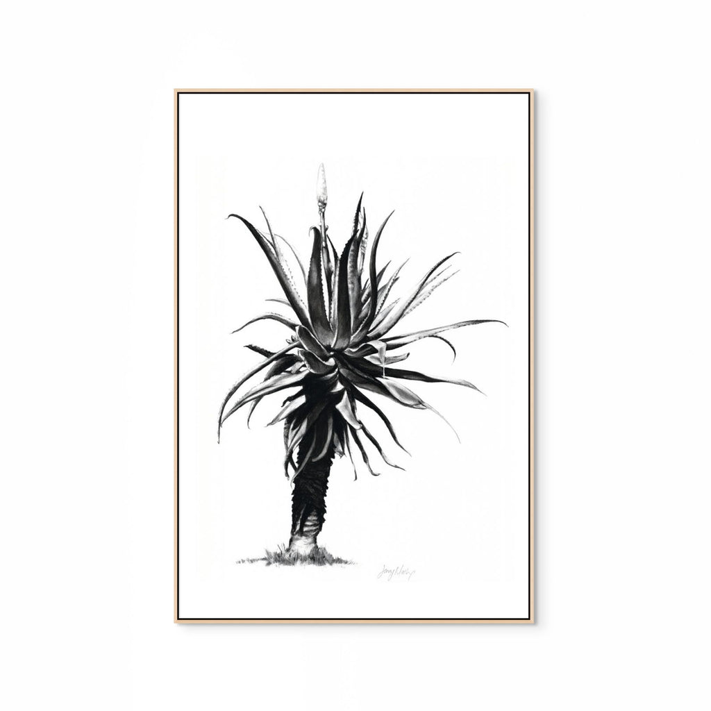 Aloe IV Print