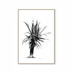 Aloe IV Print