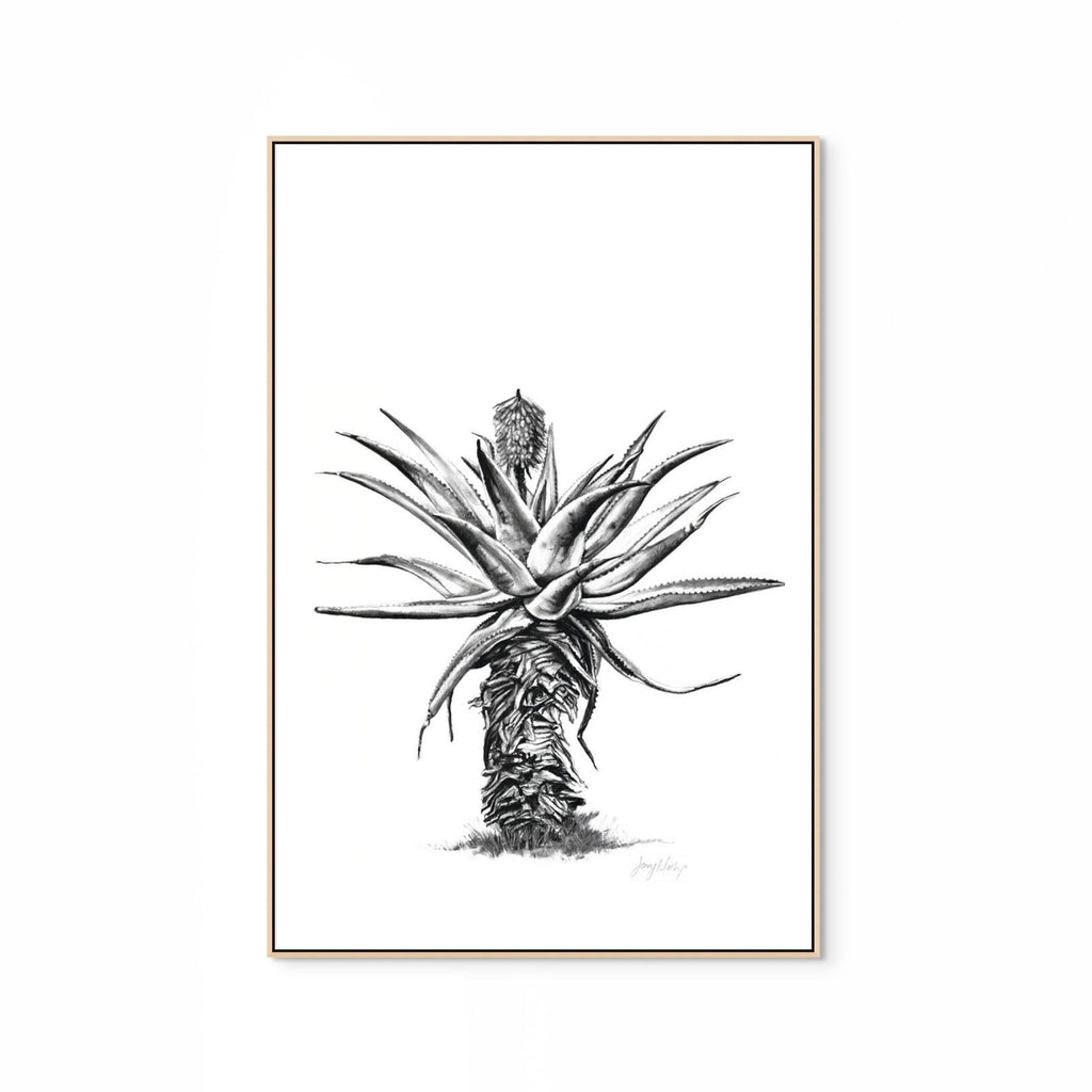 Aloe V Print