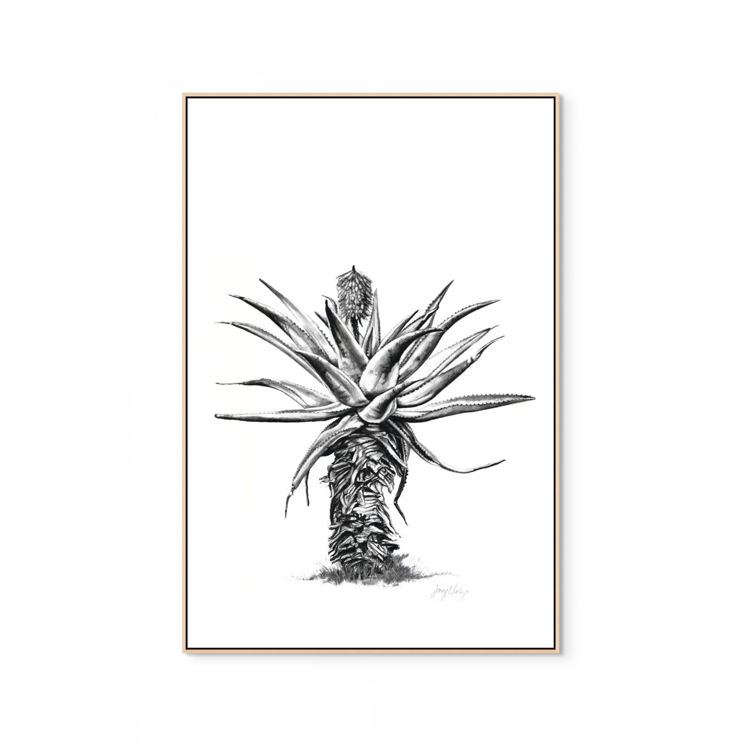 Aloe V Print