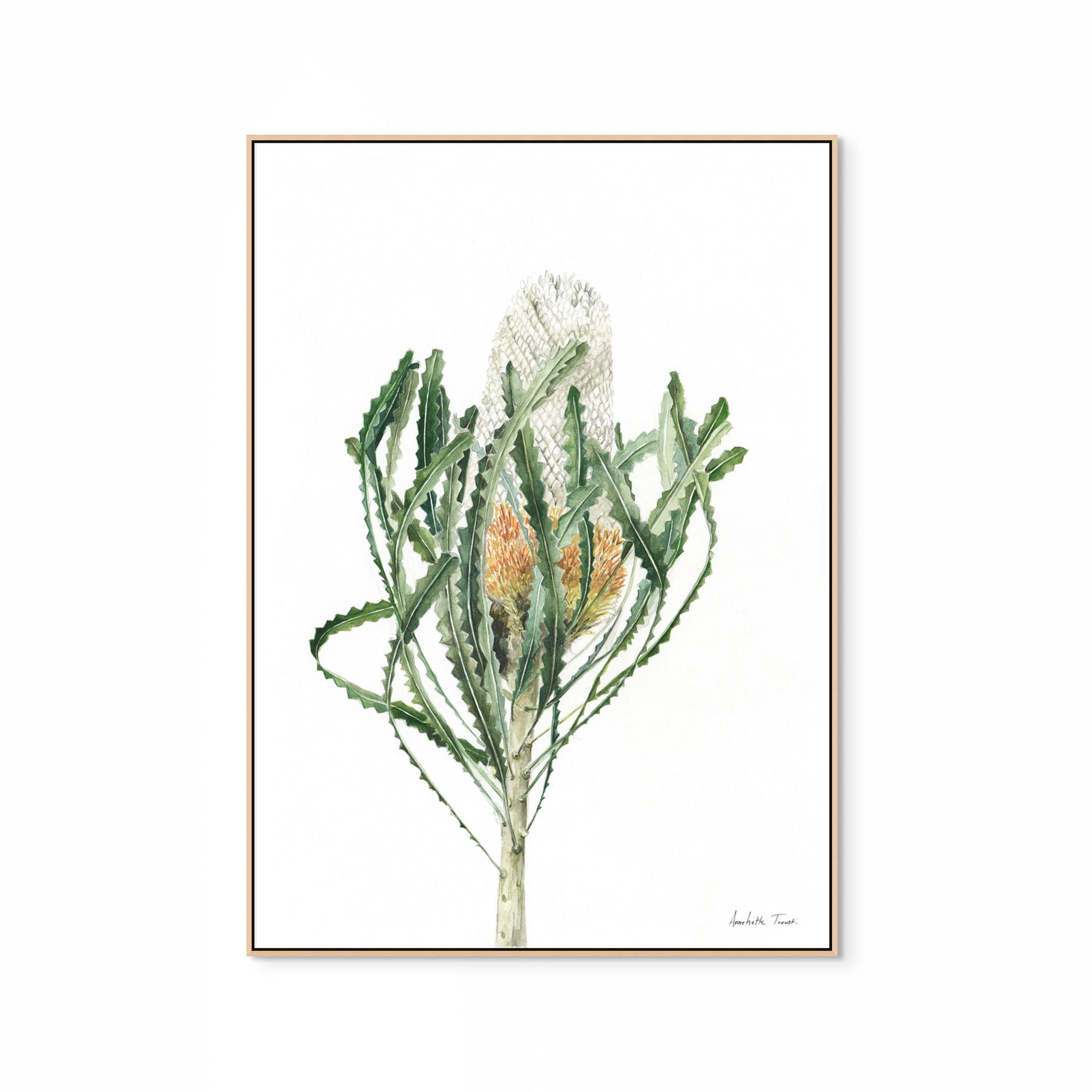 Banksia Print