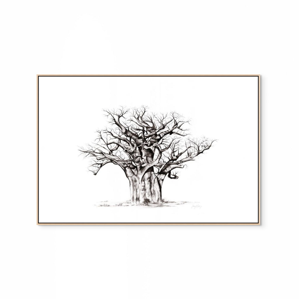 Baobab I Print