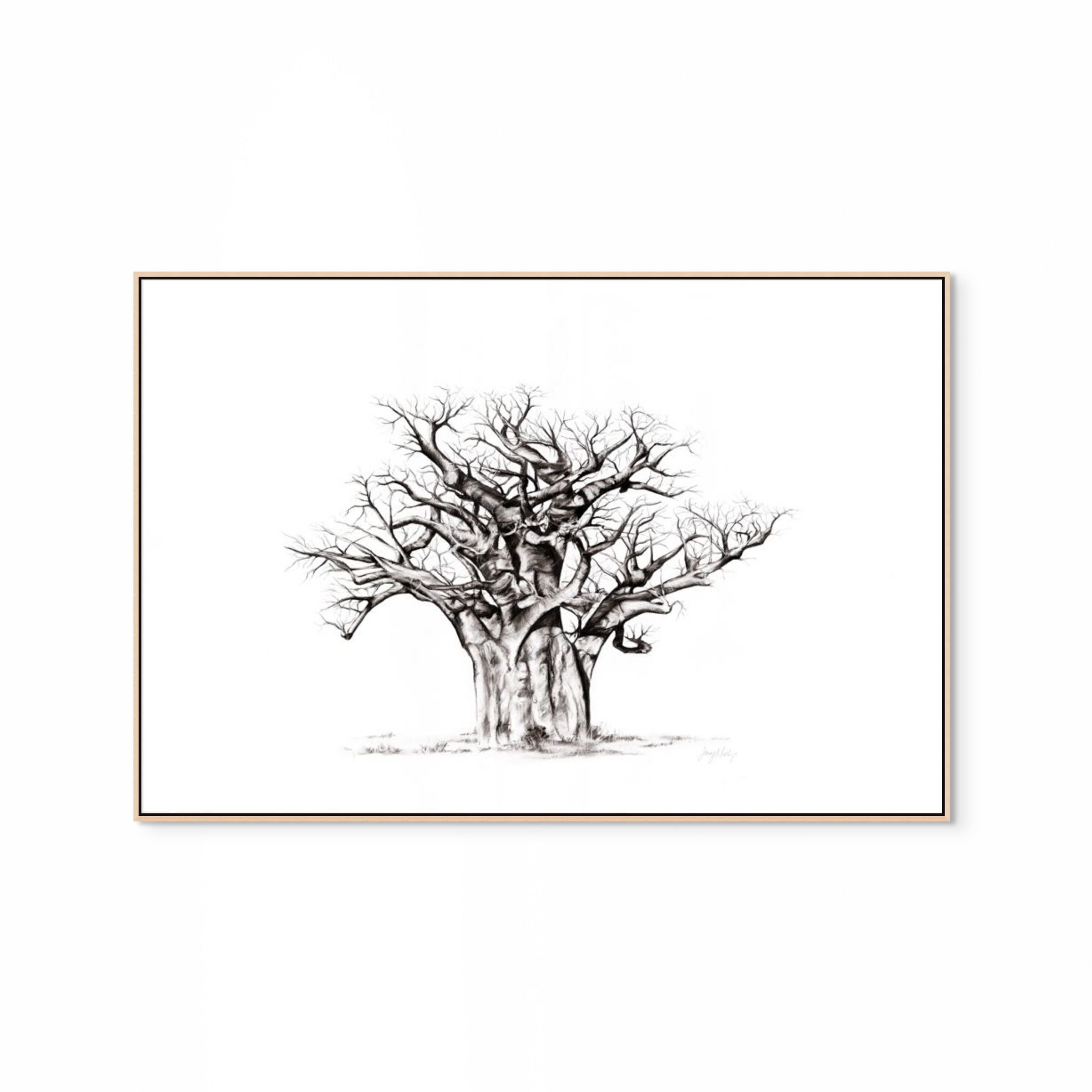 Baobab I Print