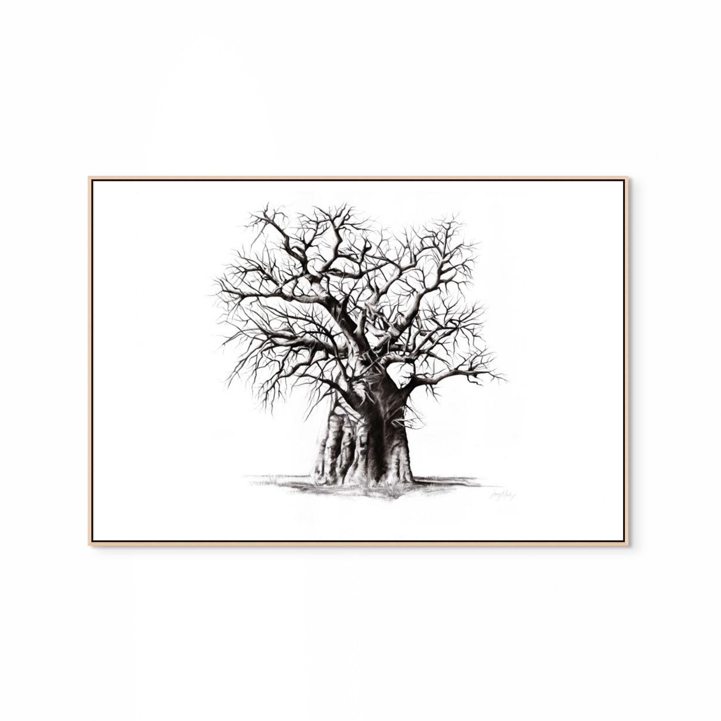 Baobab III Print