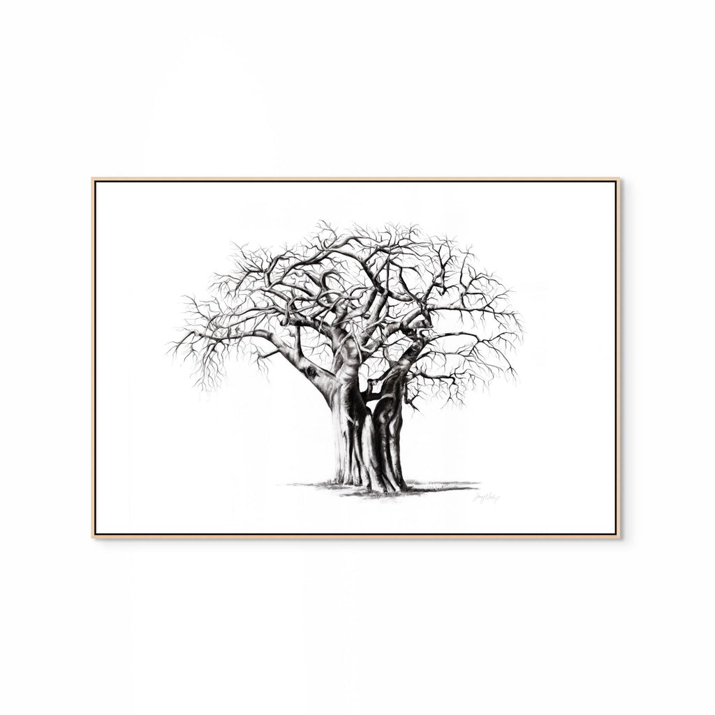 Baobab IV Print