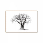 Baobab IV Print