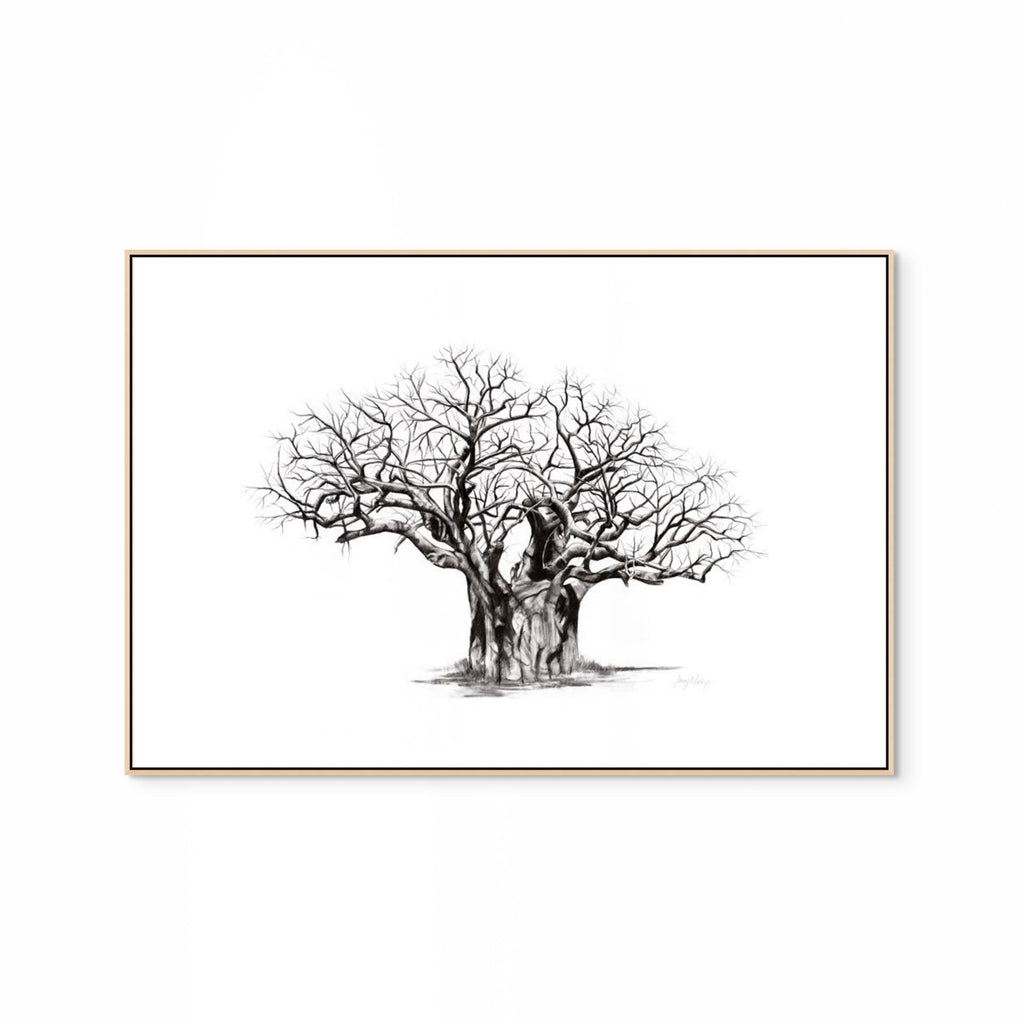 Baobab V Print