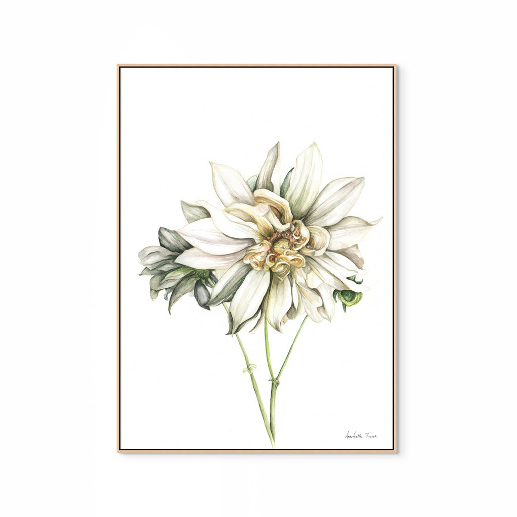 Cafe au Lait Dahlia Print