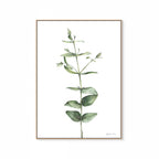 Eucalyptus Print