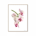 Flower Print