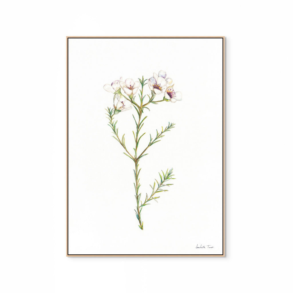 Geralton Wax Print