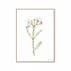 Geralton Wax Print