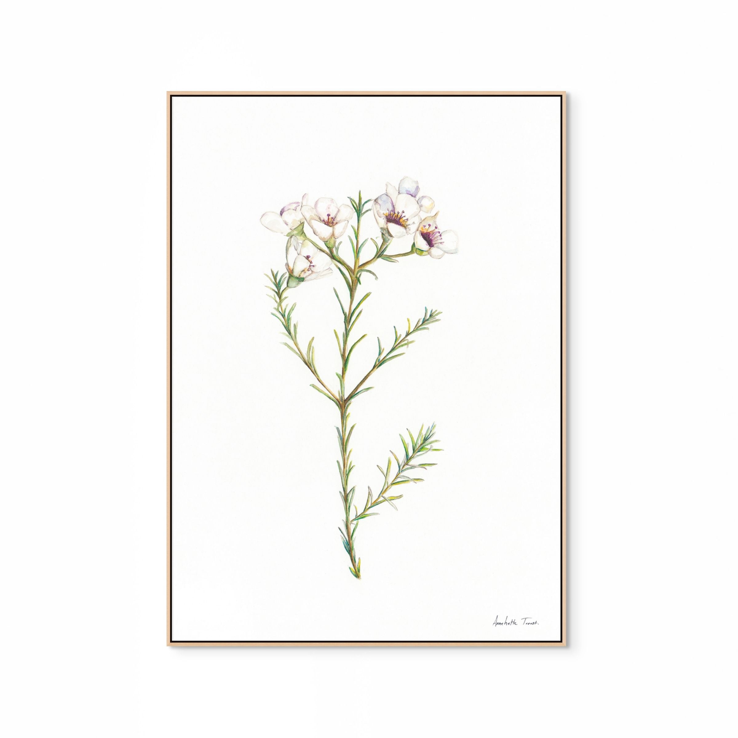 Geralton Wax Print