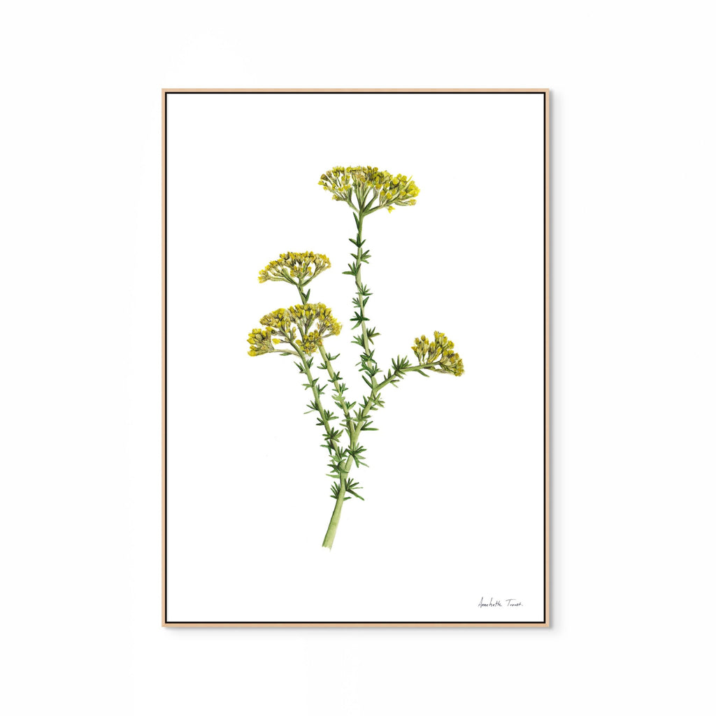 Golden Metalasia Print