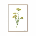 Golden Metalasia Print