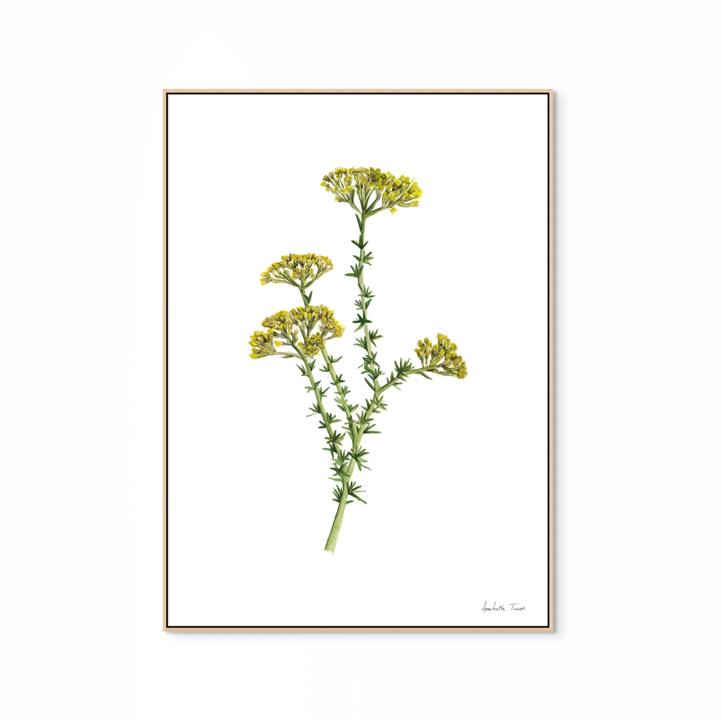 Golden Metalasia Print