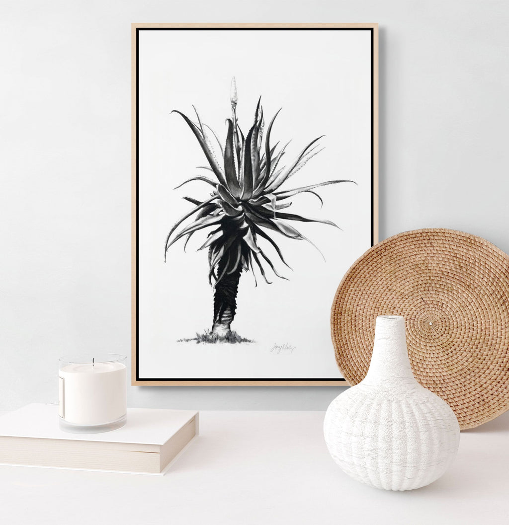Aloe IV Print