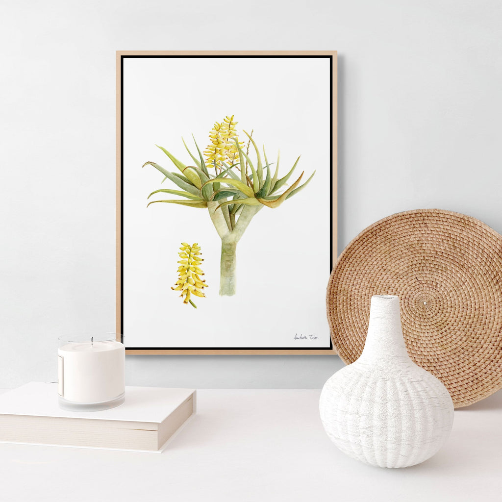 Aloidendron Dichotomum Print