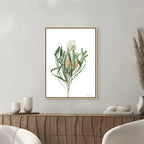 Banksia Print