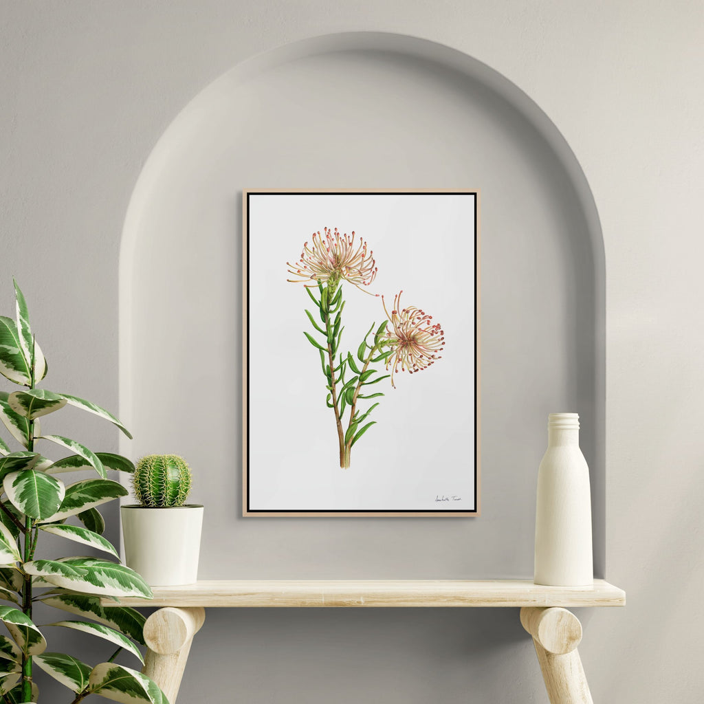 Protea Leucospermum Tottum Print