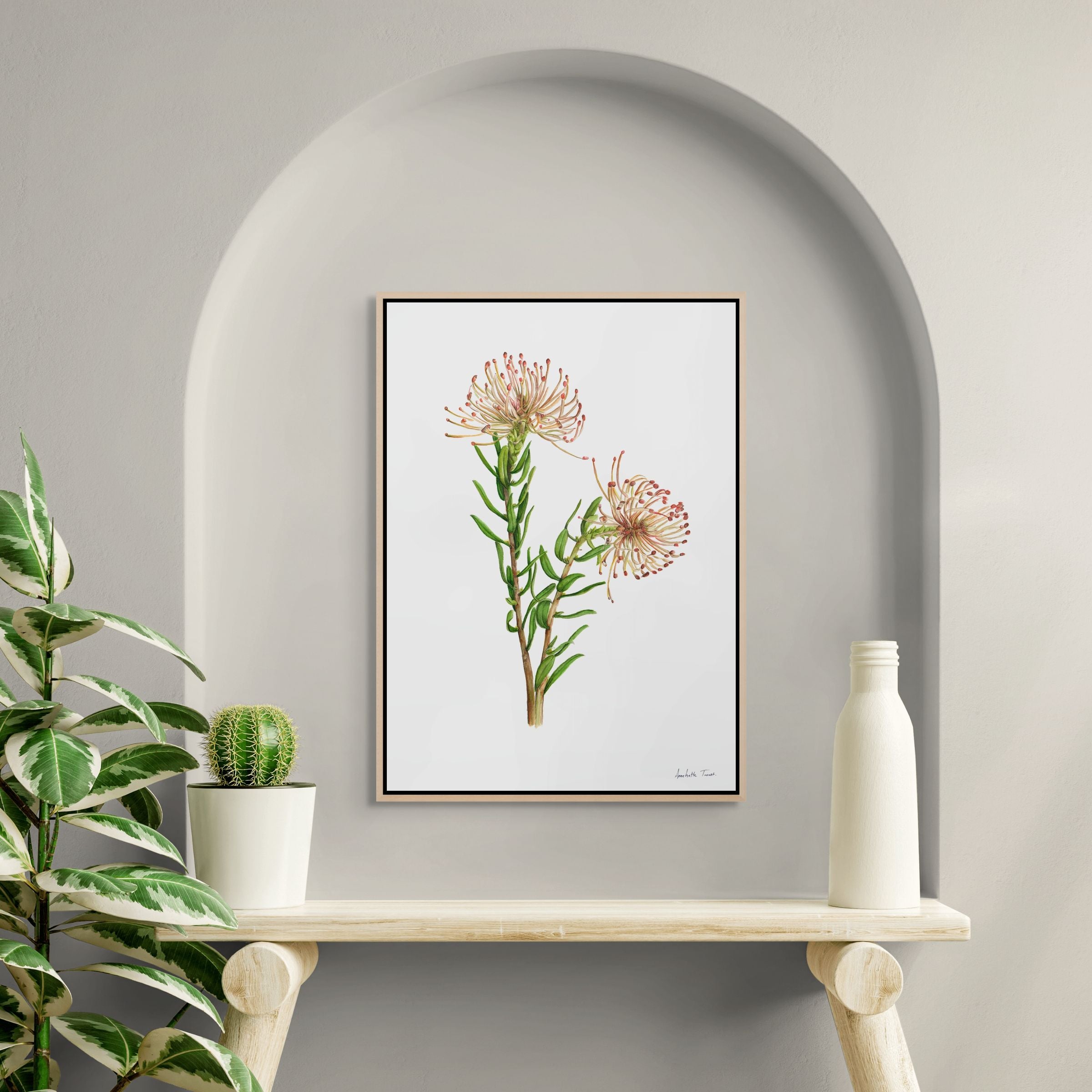 Protea Leucospermum Tottum Print