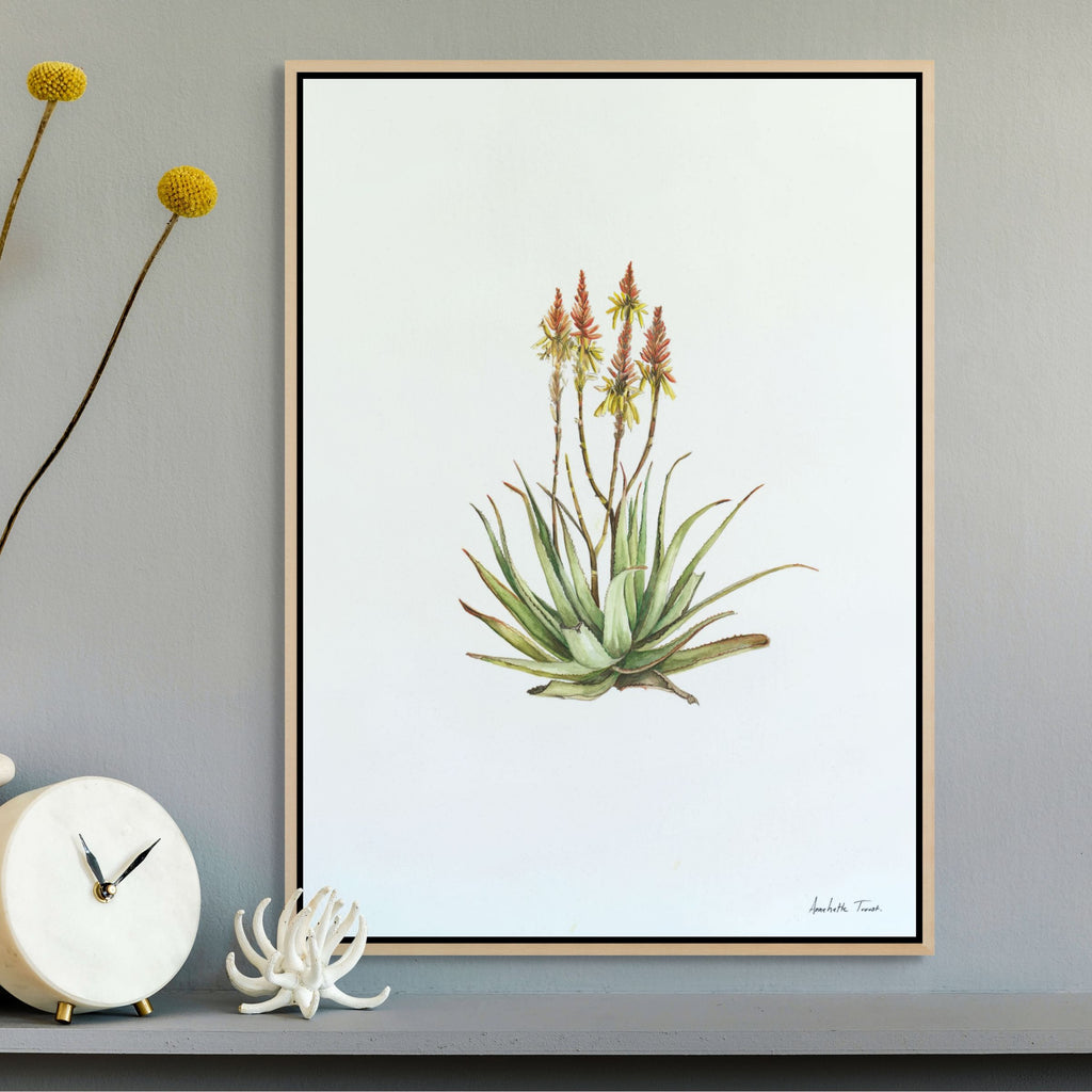 Sand Aloe Print