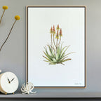 Sand Aloe Print