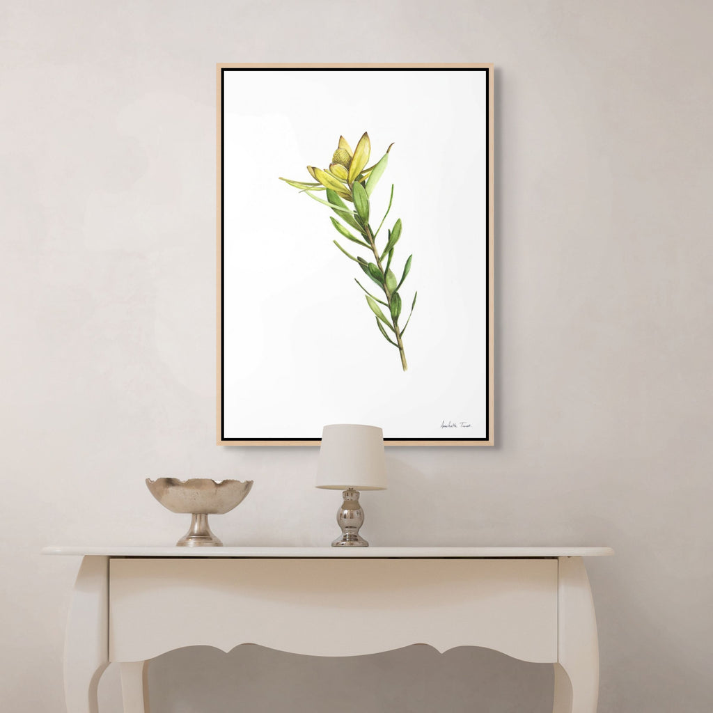 Sunshine Conebush Print