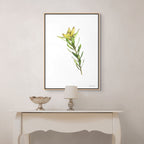 Sunshine Conebush Print