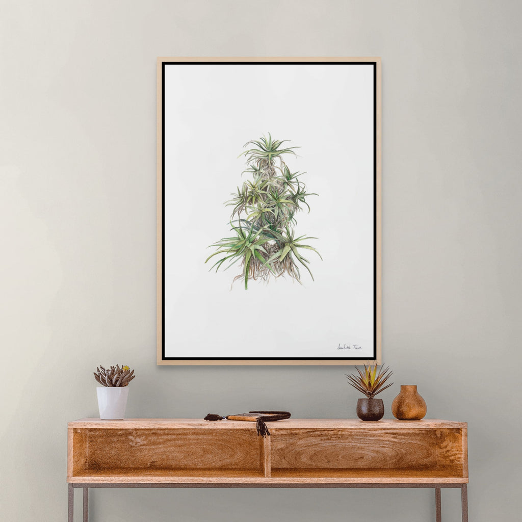 Tilt-Head Aloe Print