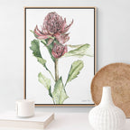 Waratah Print