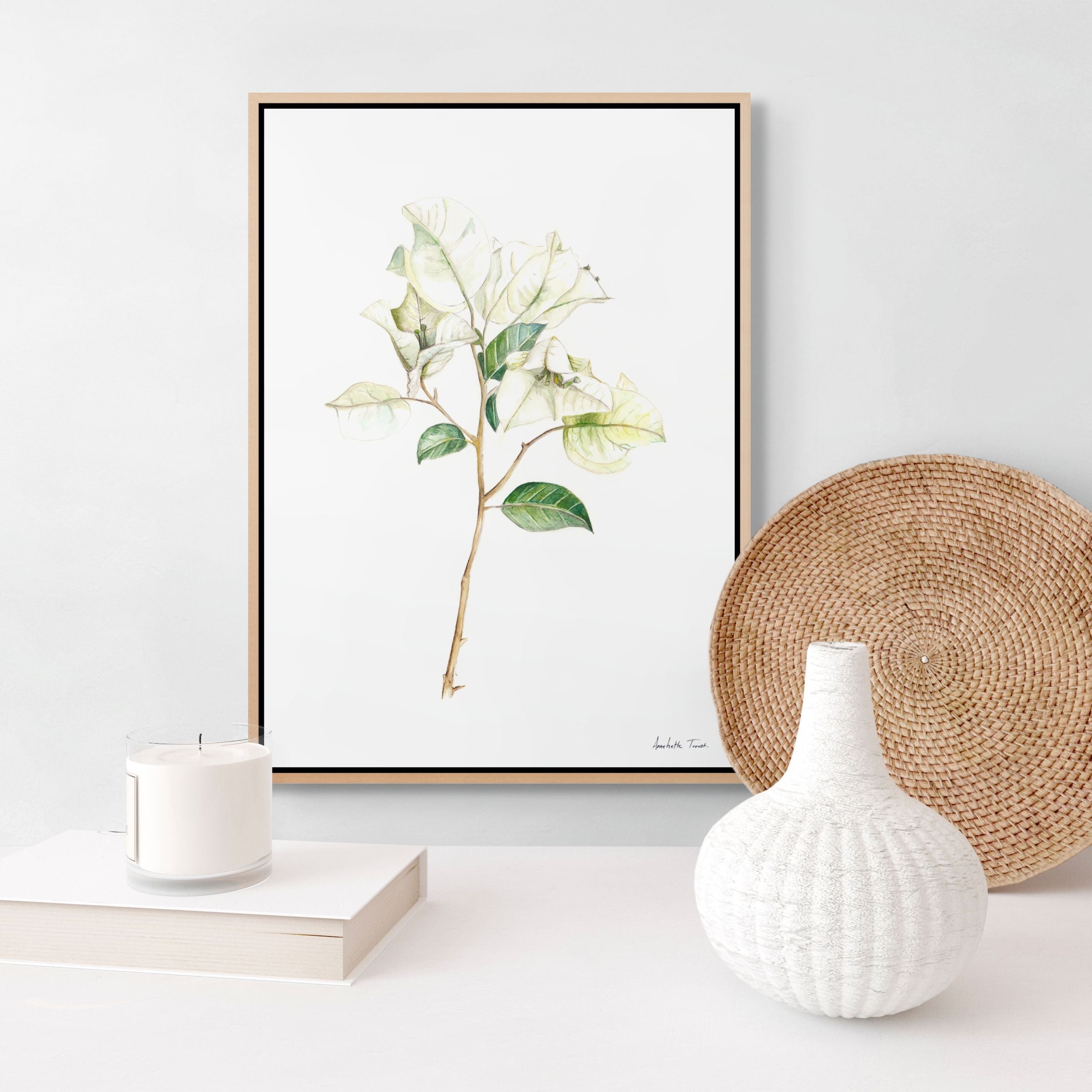 White Bougainvillea Print
