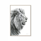 Lion Print