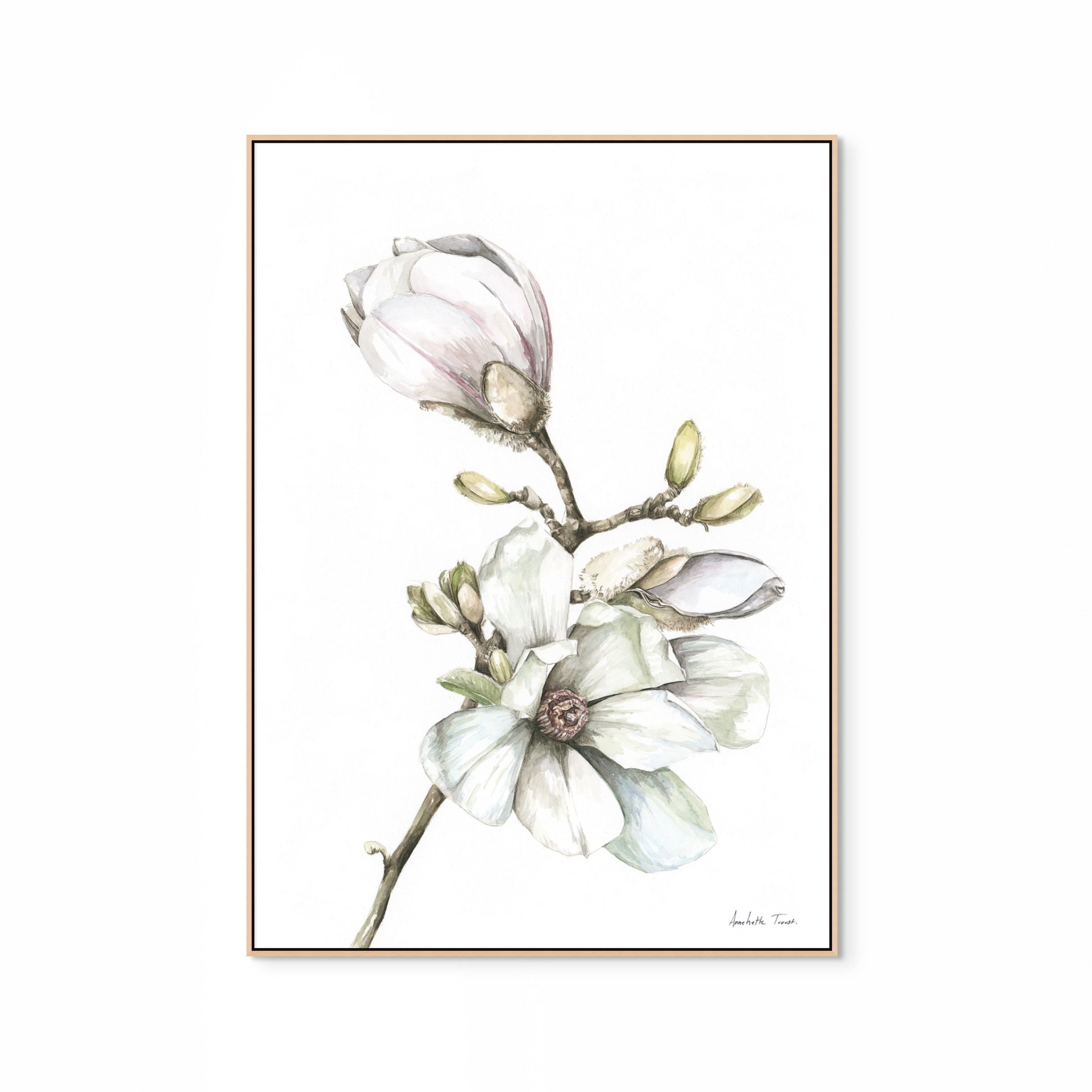 Magnolia Print