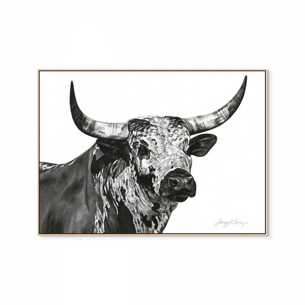 Nguni Bull Head (Landscape) Print