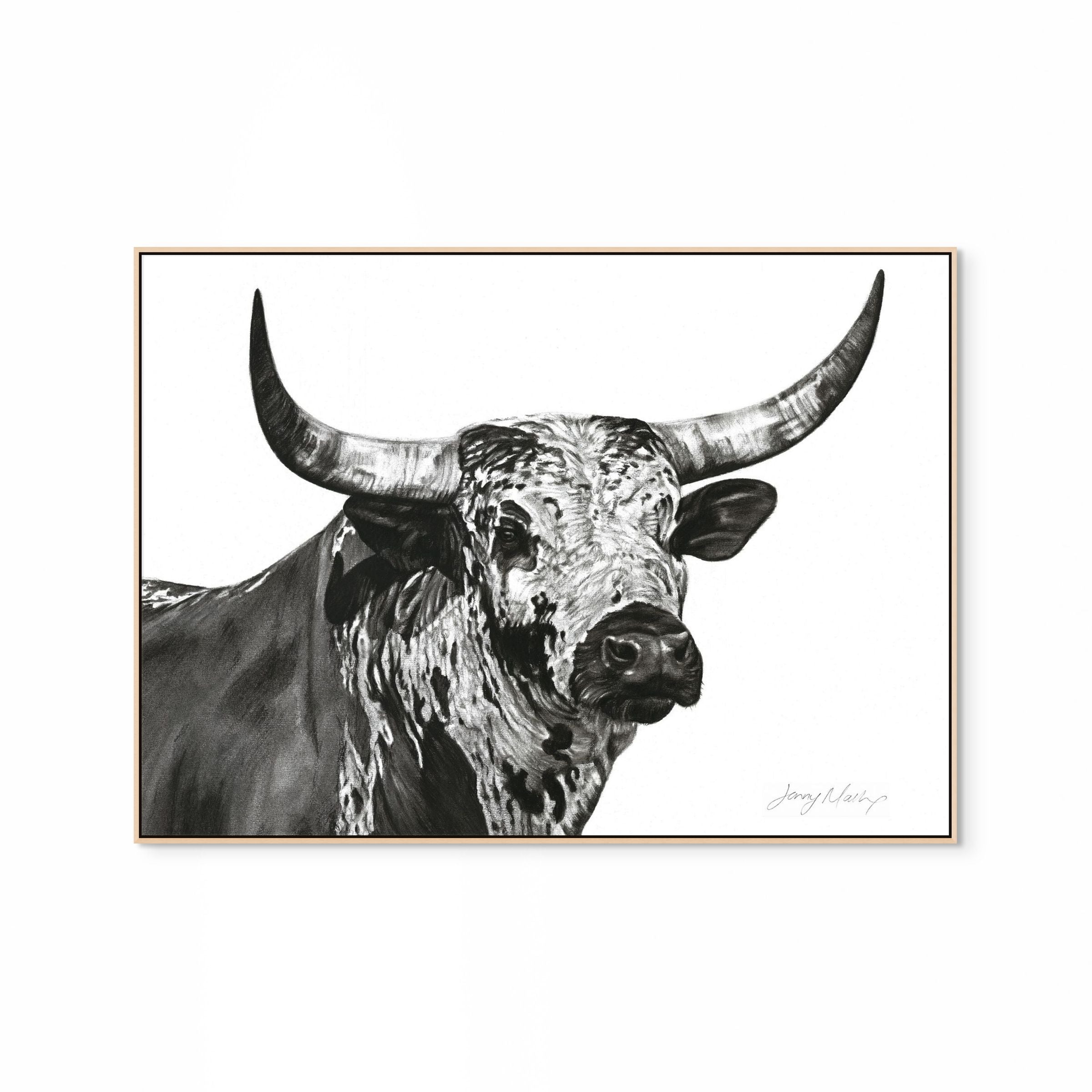 Nguni Bull Head (Landscape) Print