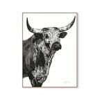 Nguni Bull Head (Portrait) Print
