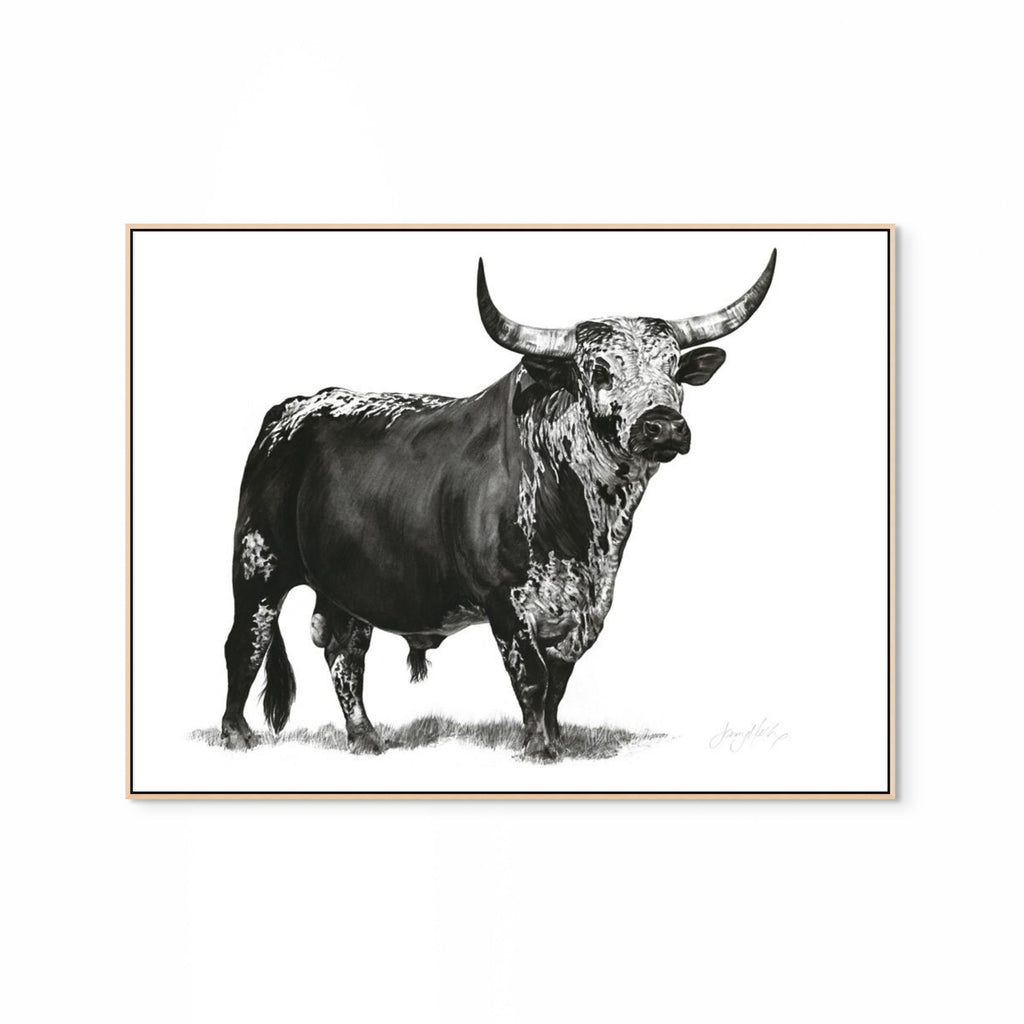 Nguni Bull Print