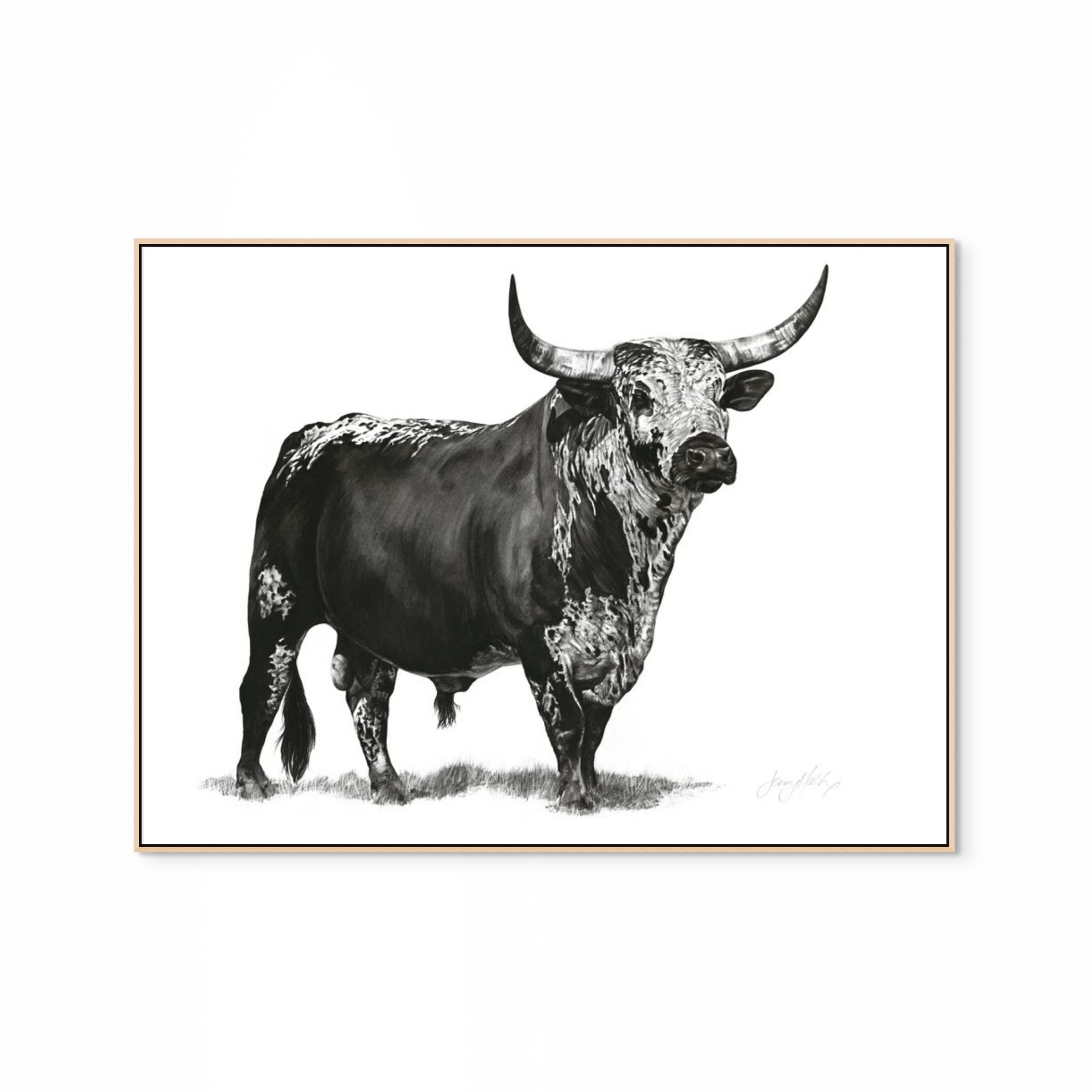 Nguni Bull Print