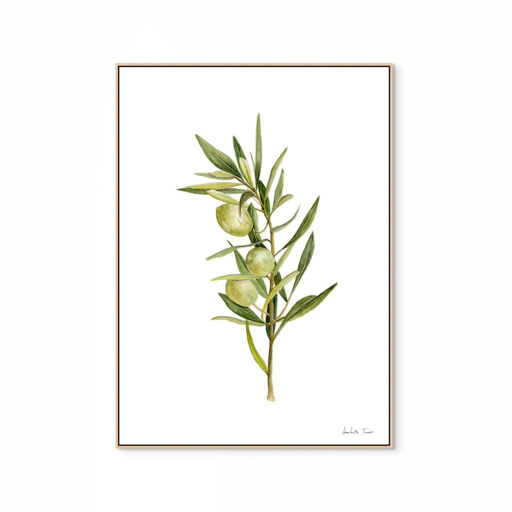 Olive Print