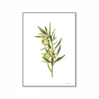 Olive Print