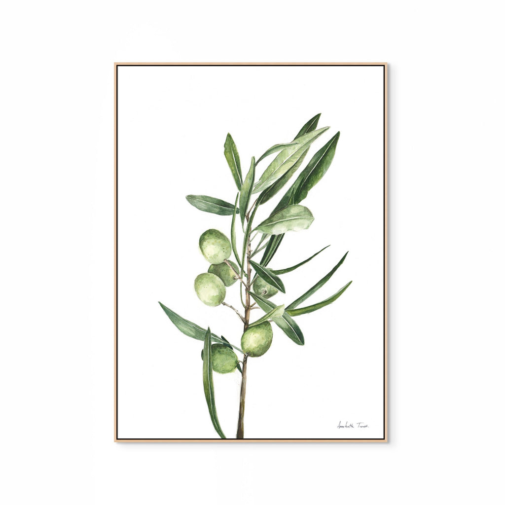 Olive Branch Print