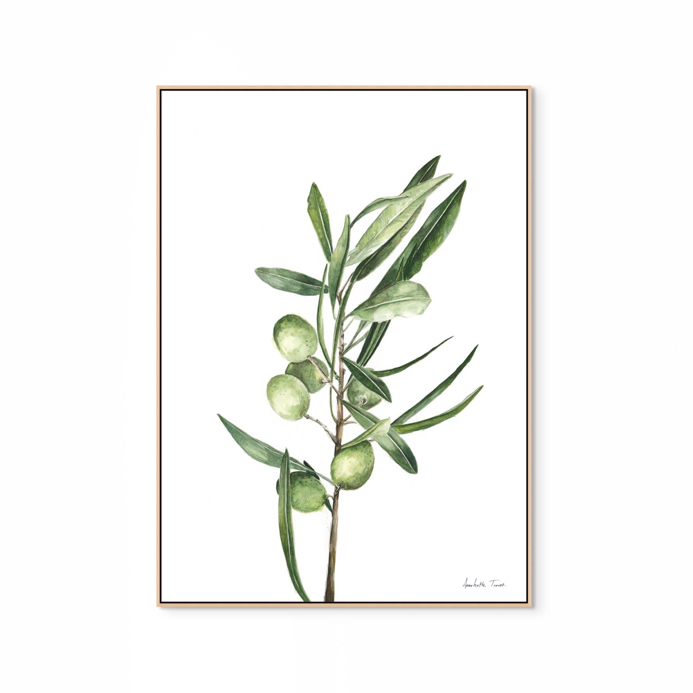 Olive Branch Print