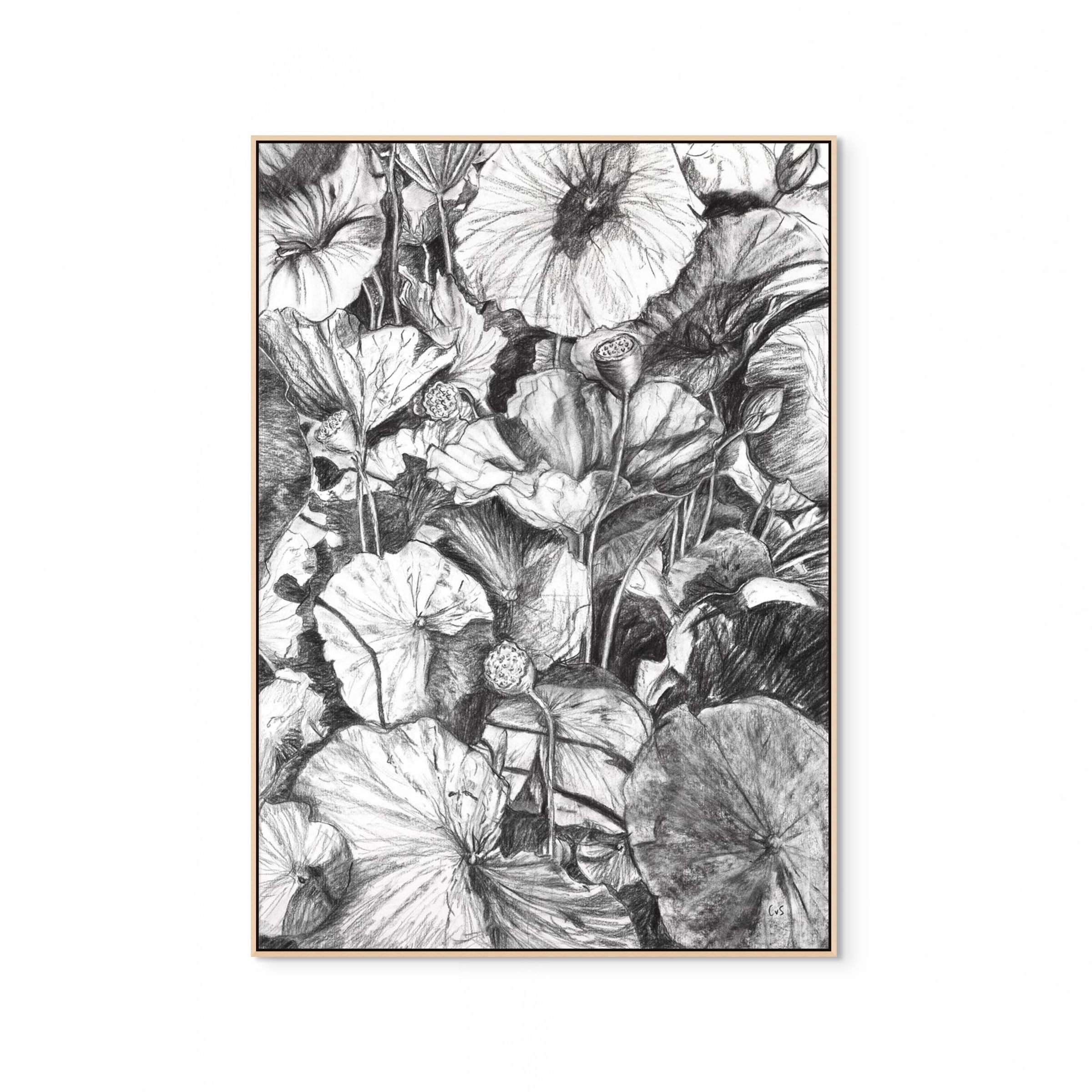 Water Lilies Print