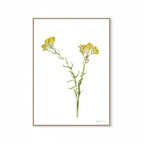 Wild Flower Print