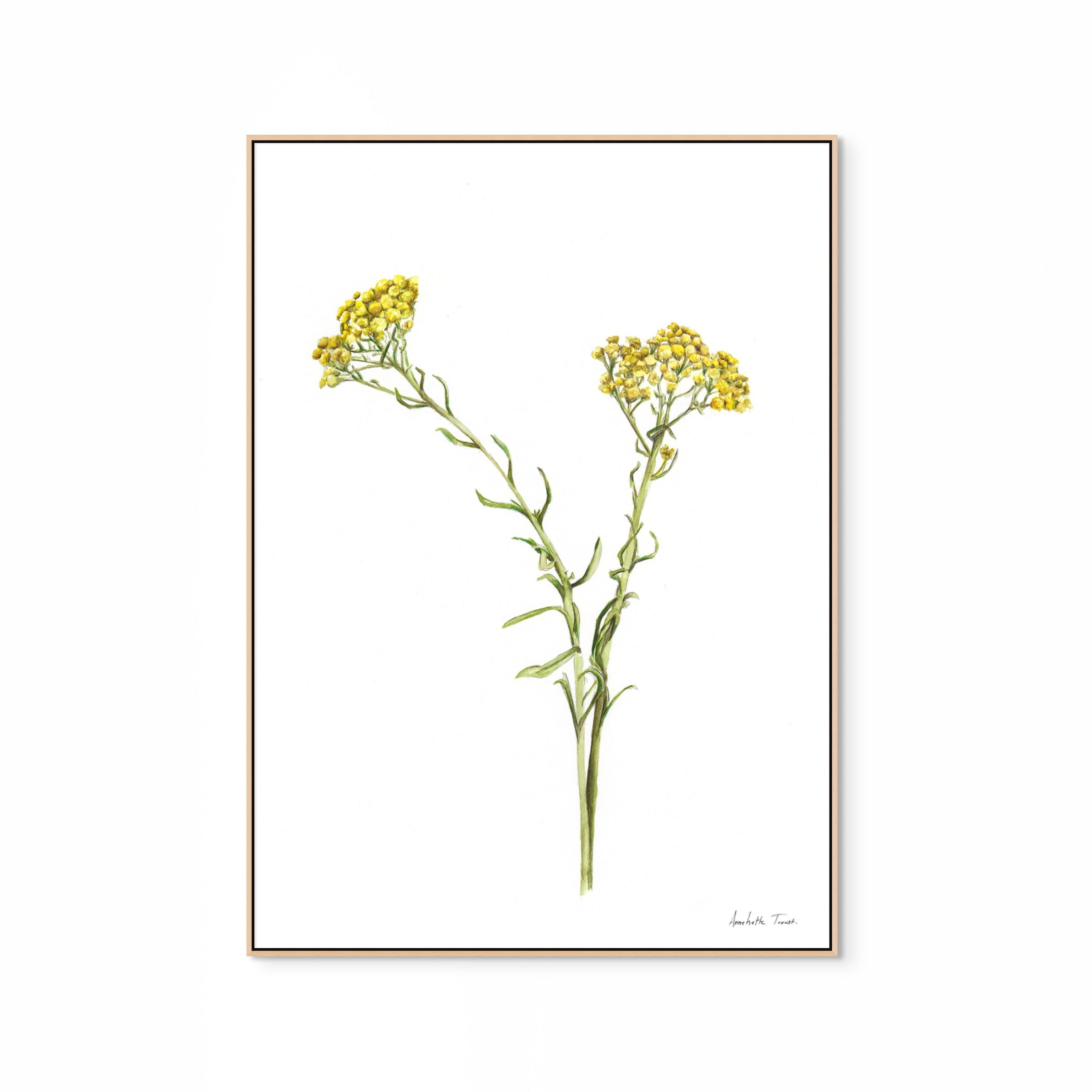 Wild Flower Print