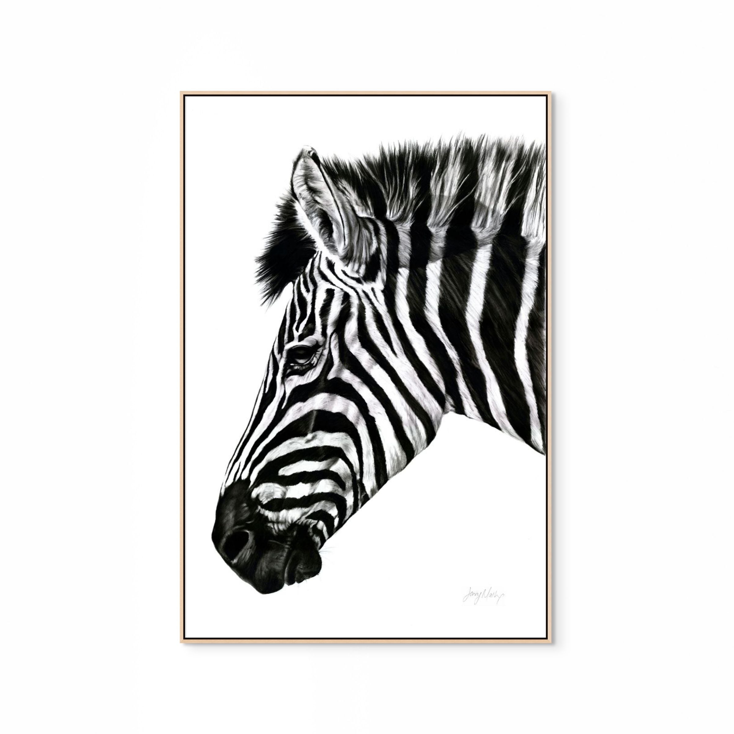 Zebra III Print
