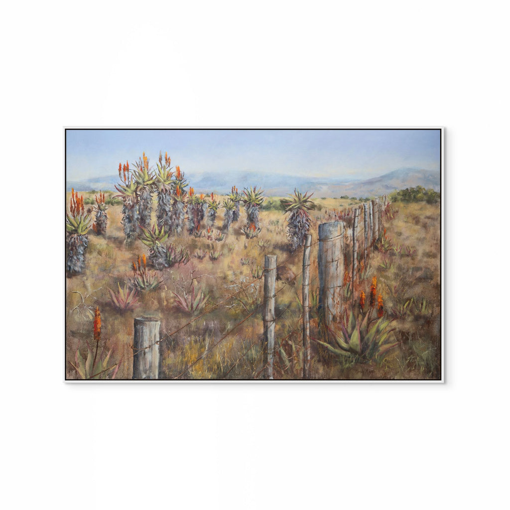 Aloes And Old Fence Print
