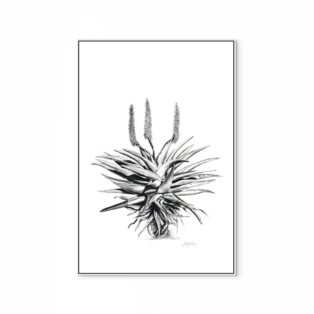 Aloe I Print