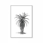 Aloe III Print